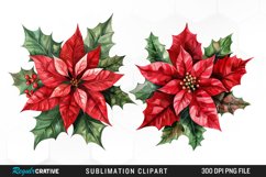 Watercolor Christmas Flower Image Clipart Product Image 1