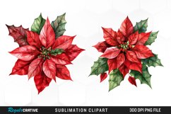 Watercolor Christmas Flower Image Clipart Product Image 1