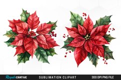 Watercolor Christmas Flower Set Clipart Product Image 1