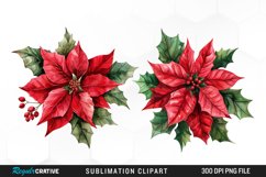 Watercolor Christmas Flower Set Clipart Product Image 1