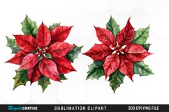 Watercolor Christmas Flower Set Clipart Product Image 1