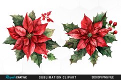 Watercolor Christmas Flower Set Clipart Product Image 1