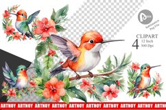 Clipart Watercolor Christmas Hummingbird Product Image 1