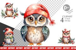 Clipart Watercolor Christmas Owl Product Image 1