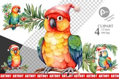 Clipart Watercolor Christmas Parrot Product Image 1