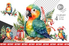 Clipart Watercolor Christmas Parrot Product Image 1