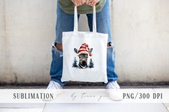 Cute watercolor Christmas zebra clipart- 1 png file Product Image 2