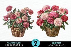 Watercolor Chrysanthemum Flowers Clipart Bundle Product Image 4