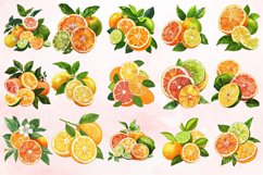 Watercolor Citrus Clipart Bundle Product Image 3