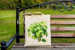 Houseplants in Pot Sublimation Bundle- 25 designs Product Image 8