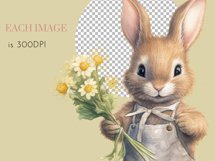Cute Animals Watercolour Clipart PNG 18 Product Image 13