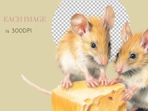 Cute Animals Watercolour Clipart PNG 18 Product Image 10