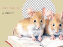 Cute Animals Watercolour Clipart PNG 18 Product Image 12