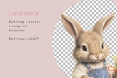 Cute Animals Watercolour Clipart PNG 18 Product Image 4