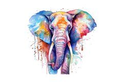 Watercolor Colorful Elephant Clipart Bundle,animal clipart,baby animals,baby elephant png,baby shower clipart,clipart bundle,commercial license,cute safari,elephant baby shower,elephant clipart,invitation card,nursery wall art,watercolor clipart