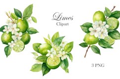 Watercolor clipart blooming limes