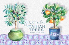 Watercolor Olive and Orange Trees clipart, House Plants PNG Product Image 1