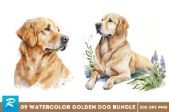 Watercolor Golden Dog Clipart,commercial use,watercolor clipart,clipart bundle,dog clipart,puppy clipart,dog digital stickers,dog sticker,birthday dog gift,watercolor dogs,dog wallart,dog lover clipart,dog portrait,dogs clip art,watercolor clipart,commerc