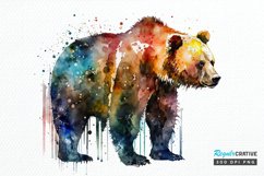 Watercolor Bear PNG Clipart Product Image 1