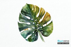Watercolor Tropical Leave PNG Clipart Product Image 1