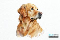 Watercolor Golden Dog PNG Clipart Product Image 1