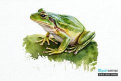 Watercolor Green Frog PNG Clipart Product Image 1