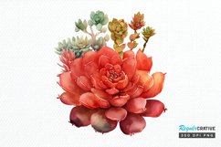 Watercolor Boho Succulents PNG Clipart Product Image 1