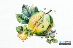 Watercolor Honeydew PNG Clipart Product Image 1