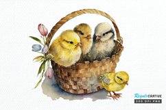 Watercolor Chicks in a Basket PNG Clipart Product Image 1