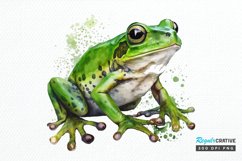 Watercolor Green Frog PNG Clipart Product Image 1