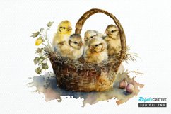 Watercolor Chicks in a Basket PNG Clipart Product Image 1
