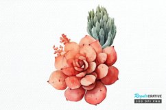 Watercolor Boho Succulents PNG Clipart Product Image 1