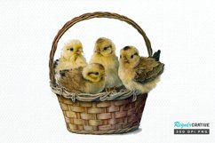 Watercolor Chicks in a Basket PNG Clipart Product Image 1
