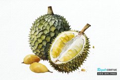 Watercolor Durian PNG Clipart Product Image 1