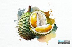 Watercolor Durian PNG Clipart Product Image 1