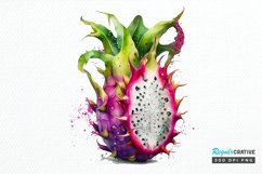 Watercolor Dragon Fruit PNG Clipart Product Image 1