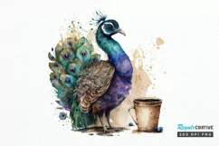 Watercolor Cute Indian Peafowl with a Cup PNG Clipart Product Image 1