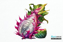 Watercolor Dragon Fruit PNG Clipart Product Image 1