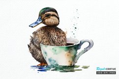 Watercolor Cute Mallard with a Cup PNG Clipart Product Image 1