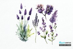 Watercolor Lavender Garden PNG Clipart Product Image 1