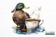 Watercolor Cute Mallard with a Cup PNG Clipart Product Image 1