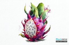 Watercolor Dragon Fruit PNG Clipart Product Image 1