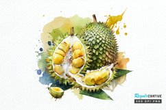Watercolor Durian PNG Clipart Product Image 1