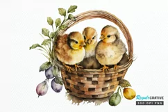 Watercolor Chicks in a Basket PNG Clipart Product Image 1