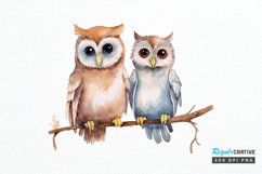 Watercolor Cute Couple Owl PNG Clipart Product Image 1