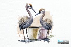 Watercolor Cute Cranes with a Cup PNG Clipart Product Image 1