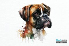 Watercolor Cute Boxer PNG Clipart Product Image 1
