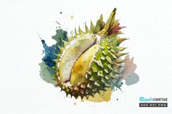 Watercolor Durian PNG Clipart Product Image 1