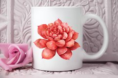 Watercolor Boho Succulents PNG Clipart Product Image 2