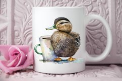 Watercolor Cute Mallard with a Cup PNG Clipart Product Image 2